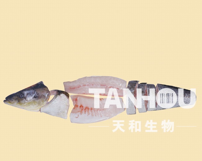 天和生物-全魚生魚片及切片 天和生物-全魚生魚片及切片