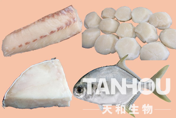 天和生物-多樣化組合(二) 天和生物-多樣化組合(二)